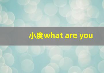 小度what are you